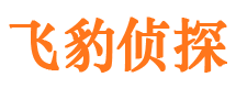 东风出轨调查